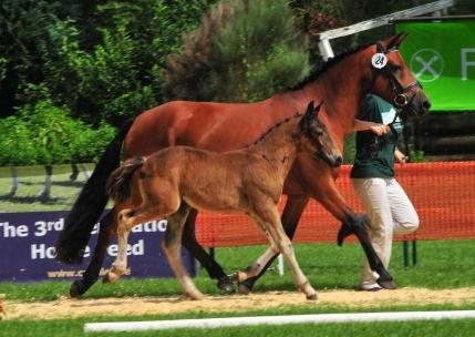 Bealtain Goldmedaille